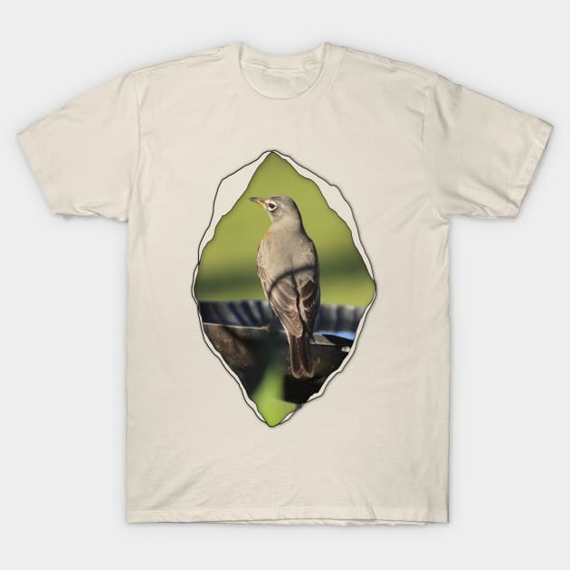 Robin on Birdbath In Tear T-Shirt by ButterflyInTheAttic